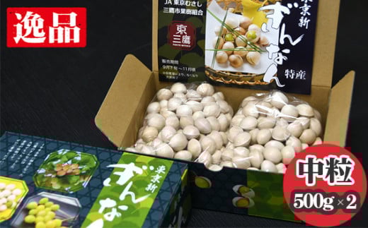 【2025年秋発送分】東京新ぎんなん（中粒） ／ 銀杏 ギンナン 逸品 東京都 特産品 [No.205]