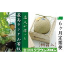 【ふるさと納税】クラウンメロン　名人×1玉　桐箱【6ヶ月定期便】【配送不可：離島】　定期便・果物類・メロン青肉　お届け：※寄附金のご入金確認の翌月以降、初回発送から6ヶ月連続でお届けします。