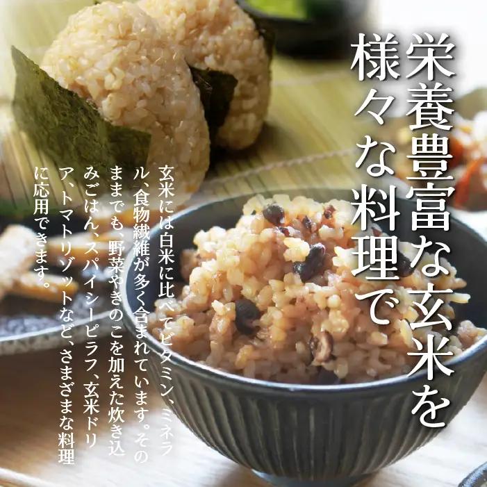 【令和7年産 6ヶ月定期配送】（玄米6kg）ホクレンゆめぴりか（3kg×2袋） SBTD075