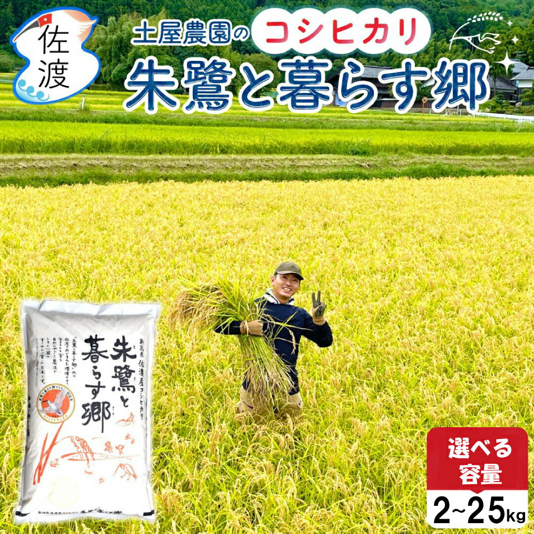【ふるさと納税】米 コシヒカリ 白米 2kg 5kg 10kg 15kg 20kg 25kg 選べる 令和7年産 特別栽培米 朱鷺と暮らす郷 土屋農園 佐渡島産 こしひかり ごはん おにぎり 新潟県 佐渡市