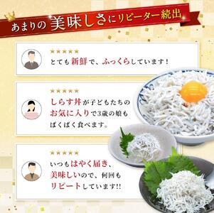 釜揚げ しらす 500g / 新鮮 高級 釜揚 和歌山 由良 【dig011】