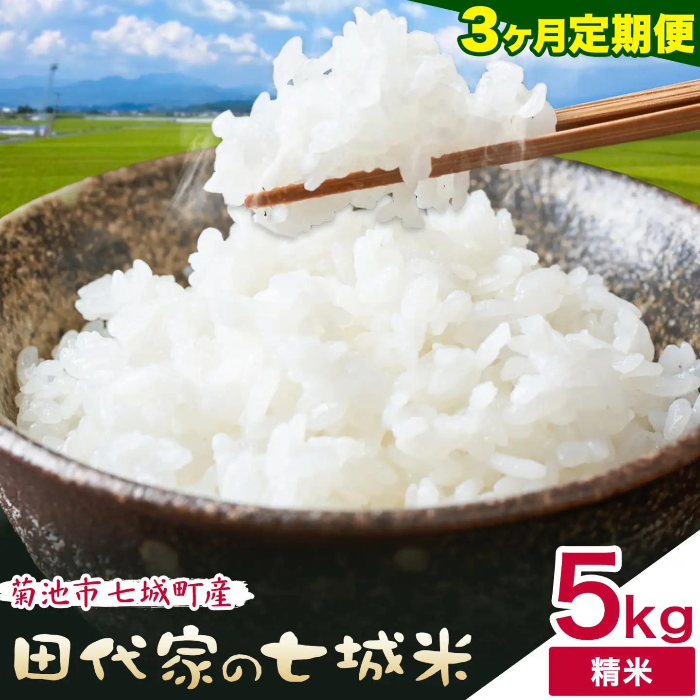 【3ヶ月定期便】令和7年産 菊池市七城町産 田代家の七城米 七城ヒノヒカリ 白米 5kg 田代こめや《お申し込み月の翌月から出荷開始》熊本県 菊池市 米 お米 精米 ひのひかり 菊池市産 熊本県産 九州産 送料無料