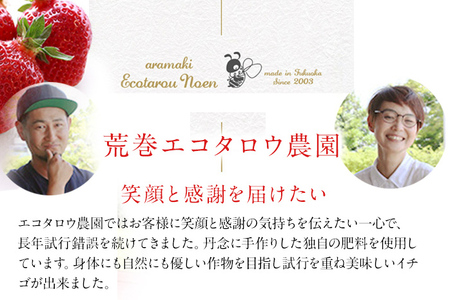 荒巻エコタロウ農園のぜいたく定期便（あまおう約300g×3回）【2026年2月〜3月】　BJ08