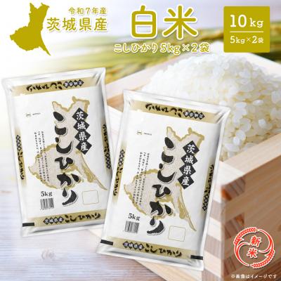 ふるさと納税 境町 【令和7年産/白米】茨城県産 コシヒカリ 10kg (5kg×2袋) 令和8年1月内発送 米 精米