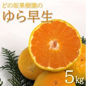 2025年10月下旬より発送【先行受付】どの坂果樹園のゆら早生みかん　5kg (2S～Lサイズ)【配送不可地域：離島・北海道・沖縄県】【1492468】