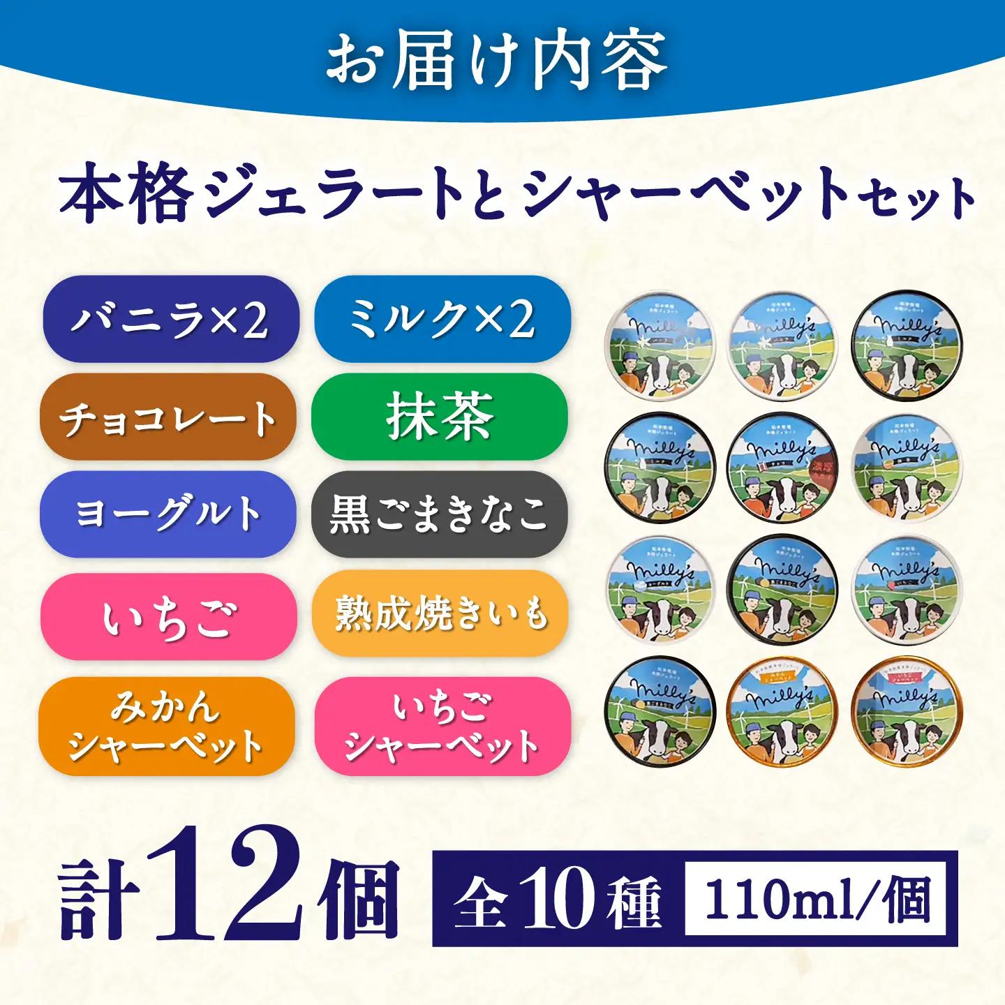 本格ジェラート ミリーズ12個セット 110ml×12個 / ジェラート アイス アイスクリーム シャーベット ギフト 贈答 / 佐賀県 / 松本アイス工房[41AOAA003]