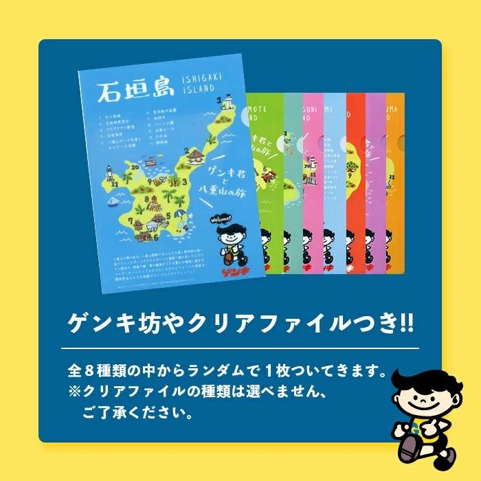 ふるさと納税 石垣市 【ふるさと納税限定】八重山ゲンキ乳業 オールスターセット |  | 03
