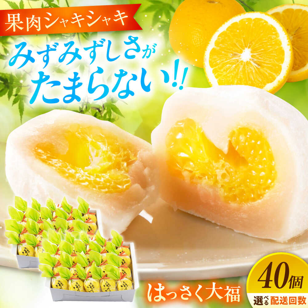 【ふるさと納税】【選べるお届け回数】お菓子 はっさく大福 20個入×2 お菓子 大福 八朔 柑橘 みかん オレンジ はっさく 餅 ギフト お取り寄せ スイーツ フルーツ大福 ご当地 菓子 おかし デザート 食品 和菓子 詰め合わせ 個包装 広島県福山市/株式会社虎屋本舗[BADH033]