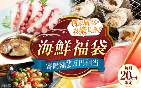 海鮮 旬の海の幸 寄附額2万円相当 海鮮[XBY005]