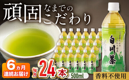 【6回定期便】 お茶ペットボトル 500ml×24本入 ペットボトル / 白川園本舗[AWAT007]