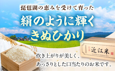 【令和7年産新米】特別栽培米 キヌヒカリ 5kg 白米 滋賀県長浜市/株式会社コメック[AQDH003]