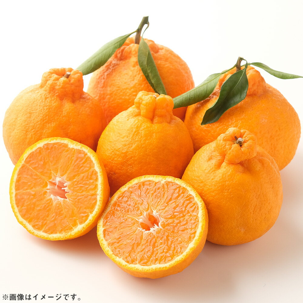 【ふるさと納税】峰農園の完熟デコ 3kg 【2026年3月下旬～4月上旬まで順次発送予定】 ミカン みかん 蜜柑 柑橘 柑橘系 柑橘類 デコポン でこぽん 不知火 果物 くだもの フルーツ 国産 太良町産 国産フルーツ 佐賀県 太良町 送料無料