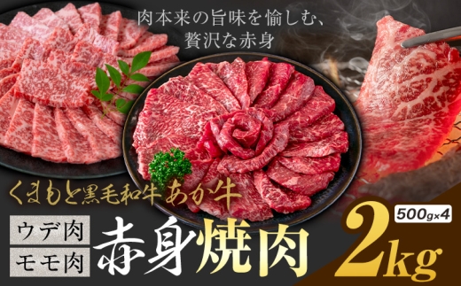黒毛和牛 あか牛 赤身 ウデモモ 焼肉 2kg《30日以内に出荷予定(土日祝除く)》熊本県 氷川町 牛 牛肉 和牛 ブランド牛