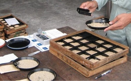 令和7年産新米 中魚沼産「新之助」5kg ＋ 魚沼産コシヒカリ「金印」5kg 食べ比べセット 新潟県 津南町 有限会社イタバ