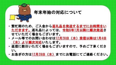 【SJ-85】Pt999　ライトイエロー非加熱サファイアダイヤモンドネックレス（AQ172）