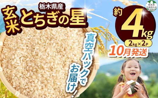 【栃木県共通返礼品】【令和8年度】栃木県産 とちぎの星 約4kg（玄米真空パック）10月発送 | 新米 okome kome お米 米 ご飯 飯 主食 日本 米 とちぎの星 玄米 米 ごはん  冷めてもおいしい ふるさと納税 那珂川町 栃木県 送料無料
