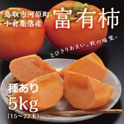ふるさと納税 鳥取市 富有柿 5kg箱 (L〜2Lサイズ)