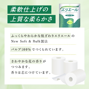 定期便 3ヵ月連続お届け エリエール ハーフサイズ 収納に便利 コンパクト 【少量3パック】 トイレットティシュー［ダブル 30m］12R×3パック（計36ロール） トイレットペーパー 紙 防災 常備