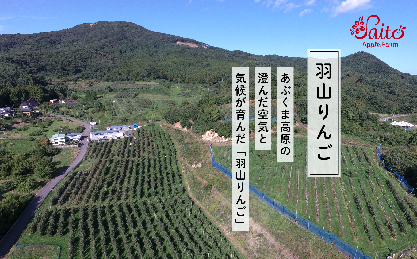 羽山りんごジュース 無添加 果汁100%（ふじ） 1000ml 6本セット りんごジュース りんご リンゴ 人気 ランキング おすすめ ギフト 故郷 ふるさと 納税 福島 ふくしま 二本松市 送料無料