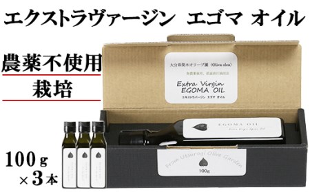 エゴマオイル(EGOMA OIL) 100g×3本セット 無農薬栽培 低温直圧搾油法 大分県産＜143-007_5＞