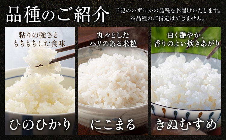 米 お米【令和8年6月発送】米 令和7年産 15kg ふるさと米 備中笠岡 人気品種をお届け！ 国産 ヒノヒカリ にこまる きぬむすめ お米 ブランド米 ふっくら ハリ おにぎり 弁当 単一原料米 検
