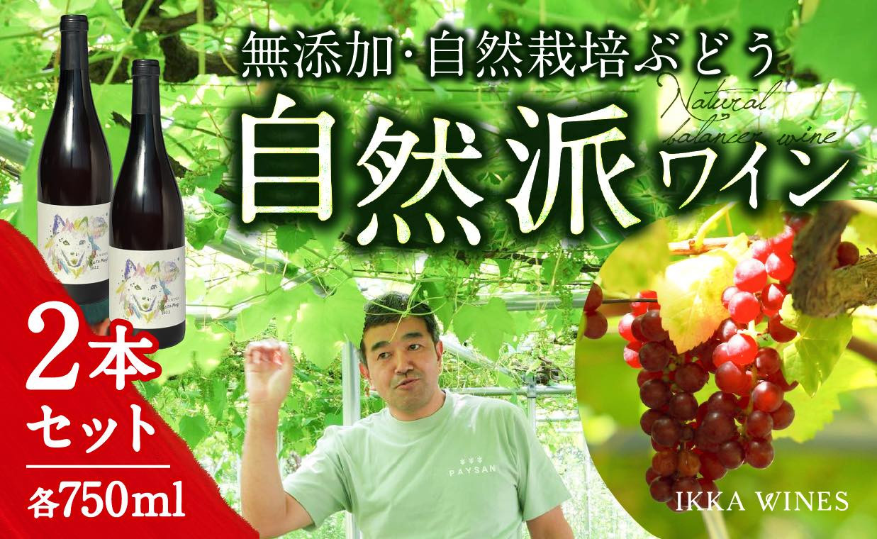 
            無添加自然派ワインGaraMogi (オレンジワイン) 2022 2本セット 『IKKA WINES』 山形産ナチュラルワイン 自然栽培ぶどう使用 無濾過にごりワイン 添加物不使用 ふるさと納税 酸化防止剤不使用 生ワイン IKKA WINES　hi004-hi025-003r
          