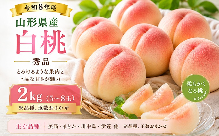 
                  山形産 白桃 秀品 2kg(5～8玉)柔らかくなる桃 FY26-169
                