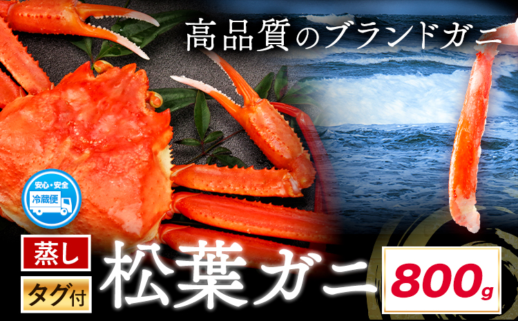 蒸し タグ付き 松葉ガニ カニ 800g 1杯 さんチョク《11月中旬から4月上旬頃出荷》鳥取県 八頭町 送料無料 蟹 かに 鍋 ズワイガニ ズワイ蟹 ボイル 冷蔵