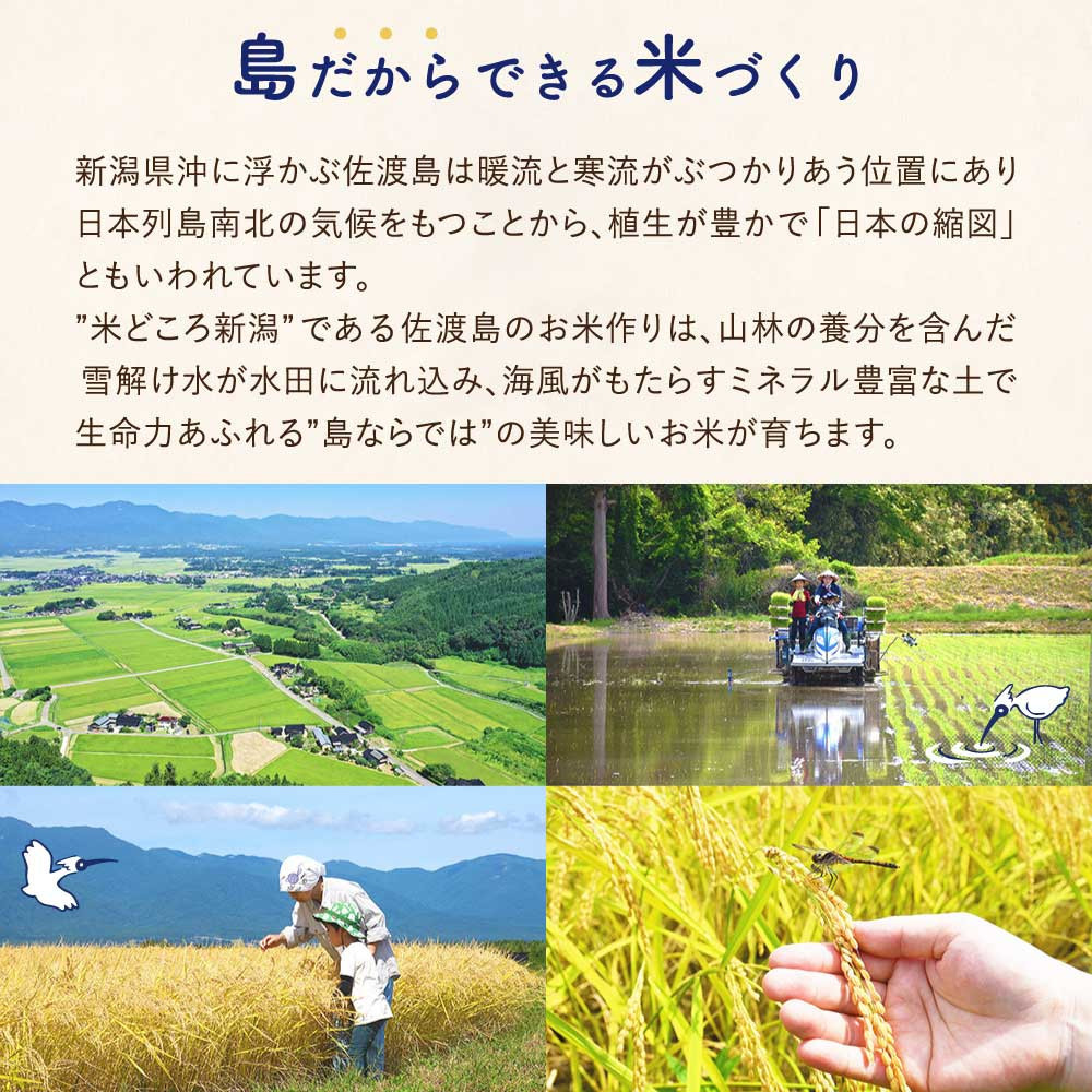 佐渡島産 川上さんのコシヒカリ 無洗米5kg 令和7年産 特別栽培米 【食の宝島佐渡】