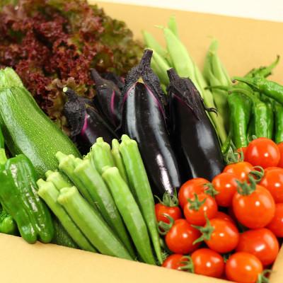 ふるさと納税 旭川市 【北海道】旬の野菜詰め合わせ[6〜8種類]栽培期間中農薬・化学肥料不使用_02944 |  | 01