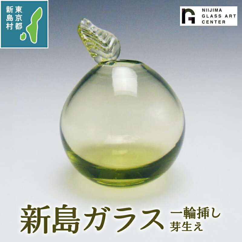【ふるさと納税】 ガラス 工芸品 置物 インテリア かわいい ガラス工芸品 花器 芽生え 一輪挿し プレゼント 火山石 新島ガラス 東京 新島 式根島 新島ガラスアートセンター