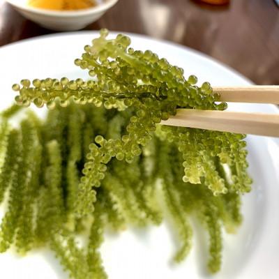 ふるさと納税 伊是名村 伊是名島そだちの塩水漬け海ぶどう60g×3袋 |  | 01