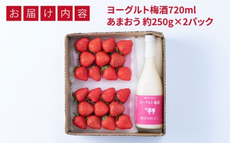 【2024年2月上旬より順次発送】【春】ヨーグルト梅酒720ml ×あまおう 約250g×2パック 糸島市 / 南国フルーツ株式会社[AIK013] 先行予約