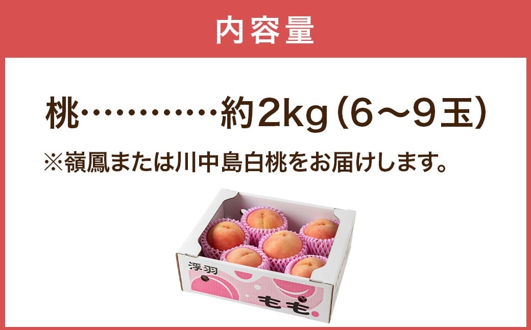 桃 （ 嶺鳳 ・ 川中島白桃 ）  約2kg （ 6ー9玉） 【2026年7月上旬ー8月上旬発送予定】　 