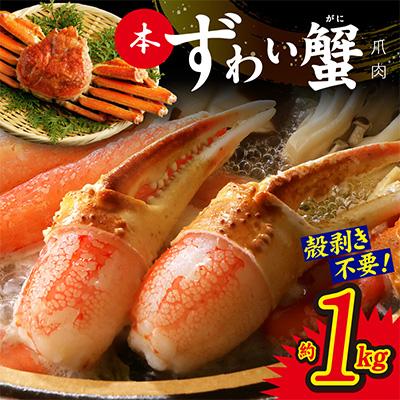 ふるさと納税 泉佐野市 本ずわいがに 爪肉 約1kg 加熱用