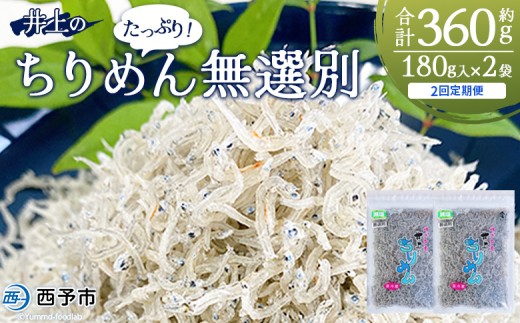 ＜井上のちりめん 無選別 合計約360g（180g入り×2袋）＞ ちりめんじゃこ タコ エビ イカ 稚魚 バラバラ かたくちいわし 小魚 小分け カルシウム 乾物 ジッパー付 たっぷり 便利 海鮮 井上水産 特産品 愛媛県 西予市【冷蔵】