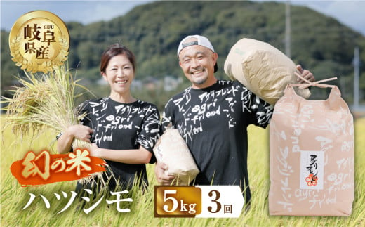 【 3回 定期便 】 令和7年産 ハツシモ 5kg × 3回 3か月 米 こめ ごはん 白米 岐阜県産 本巣市 お米 精米 甘い 和食 寿司 アグリフレンドホリグチ