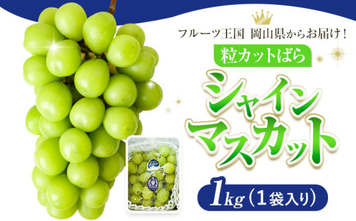 【先行予約】シャインマスカット 粒カット ばら 1kg (1袋入り)  Lino ＆ Kai Farm《2026年10月上旬-11月中旬頃出荷》マスカット 送料無料 岡山県 浅口市 シャインマスカット 岡山 ぶどう フルーツ 果物 st-p