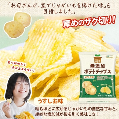 純国産 ポテトチップス うすしお味 12袋 北海道深川市【1640042】