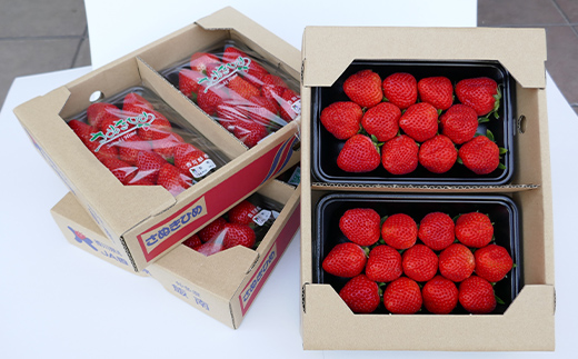 香川県のオリジナル品種/さぬき姫いちご2パック FAH-0134