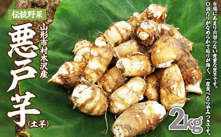 
山形市の伝統野菜 村木沢の「悪戸芋」ねっとり食感里芋 2kg FZ23-093
