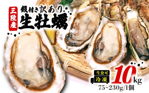 訳あり 牡蠣 10kg (生食可) かき カキ 冷凍 岩手県産 殻付き 生食 生食用 訳あり わけあり 大きさ不揃い 不揃い 三陸 三陸産 株式会社國洋 岩手県 大船渡市