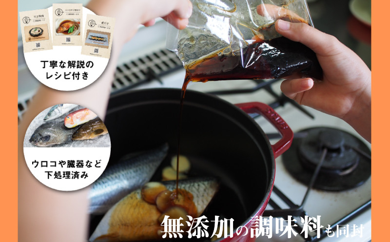 定期便 6ヶ月 サカナDIY 2人前 4 ~ 5 種×6ヶ月 魚料理キット ( 鮮魚 海鮮 魚介 海の幸 冷凍 真空 小分け セット 定期便 お楽しみ 毎月変わる 地魚 煮魚 焼き魚 刺身 刺し身 さ