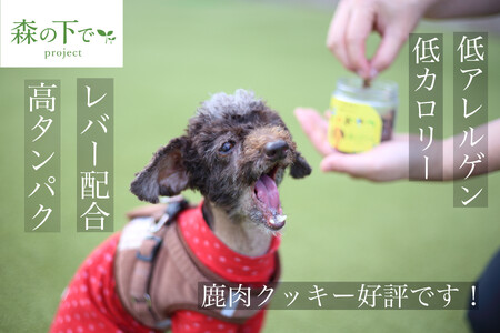 愛犬用 鹿肉ジャーキー & クッキー セット 各2袋 手作り 犬用 子犬 成犬 国産 ドッグフード おやつ 餌 エサ 高タンパク ペット用品 ペット 犬 トッピング ジビエ 小分け 個包装 京都 木津