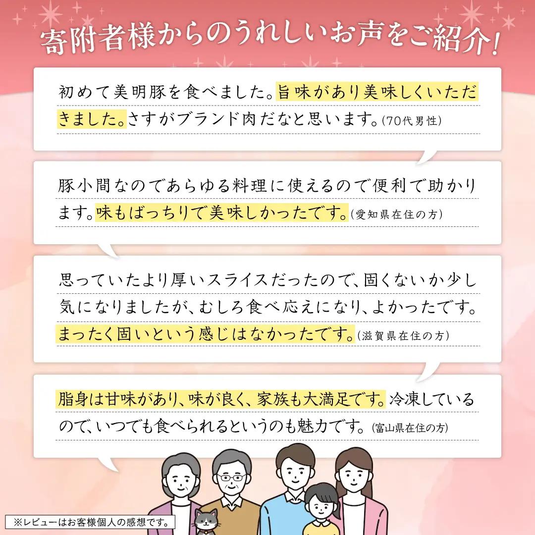 美明豚 小間切れ 2kg【茨城県共通返礼品 行方市】 豚肉 国産 銘柄 お手頃 グルメ 茨城県 料理 冷凍 小分け こま切れ 切り落とし 豚 ぶた 肉 ポーク ブランド豚 豚こま 豚こま切れ [CV0