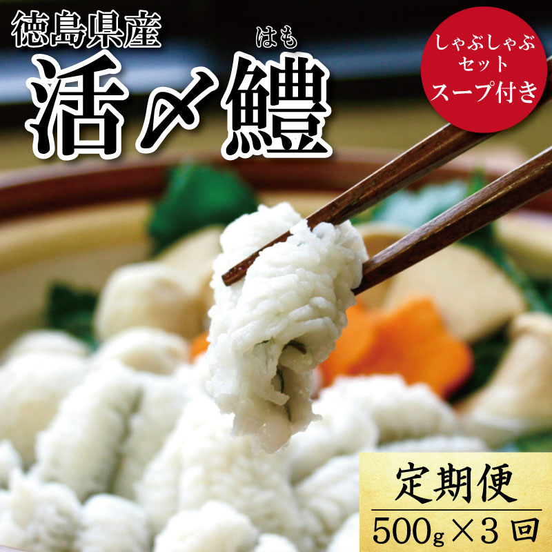 【ふるさと納税】 定期便 全3回 鱧 ハモ しゃぶしゃぶ セット 1.5kg 500g × 3回 スープ付き 冷凍 新鮮 産地 直送 高級 料亭 活け 国産 魚介 海鮮 おかず 料理 ※着日指定不可