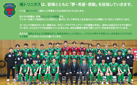 K2604 境トリニタス応援ボックスティッシュ 400枚(200組) × 30箱 日用品 防災 消耗品 必需品 花粉 風邪 ティッシュ ボックス ボックスティッシュ