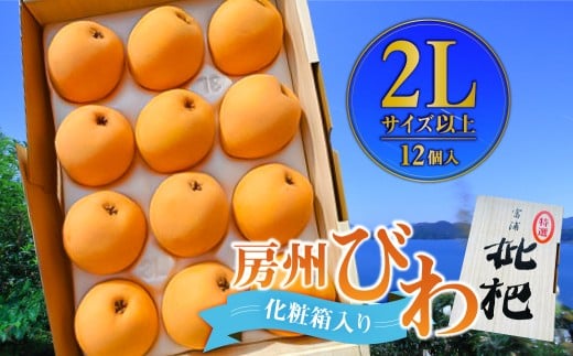 【先行受付 2026年5月中旬～6月下旬発送予定】房州びわ 2Lサイズ以上 12個（化粧箱入）  mi0114-0001 【果物 枇杷 房州びわ フルーツ 国産 甘味 酸味】