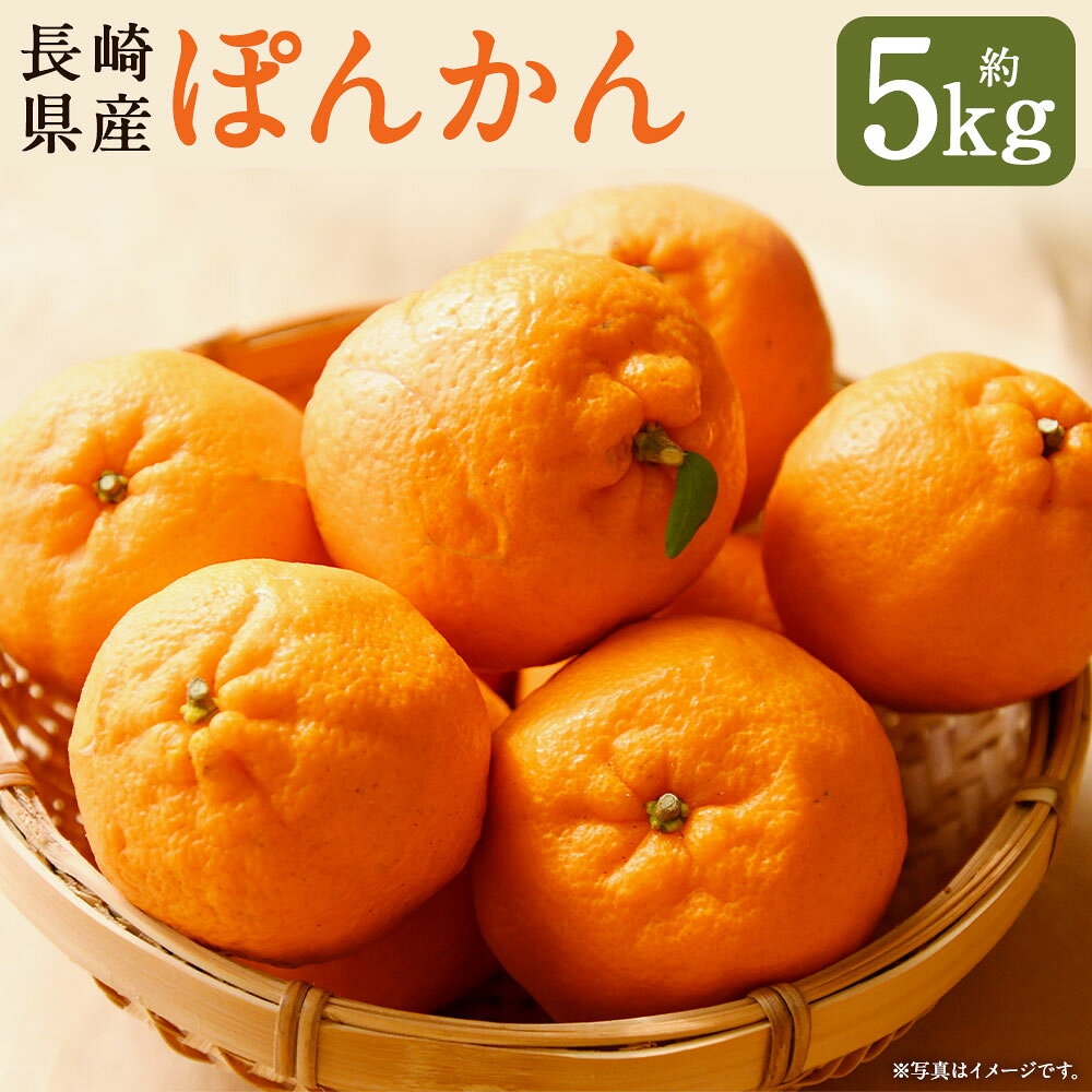【ふるさと納税】 ぽんかん 約5kg（個数・サイズ おまかせ） ポンカン かんきつ 柑橘 フルーツ くだもの 果物 果実 デザート 長崎県産 国産 長崎県 長崎市 送料無料 【2027年1月下旬～2月下旬まで順次発送予定】