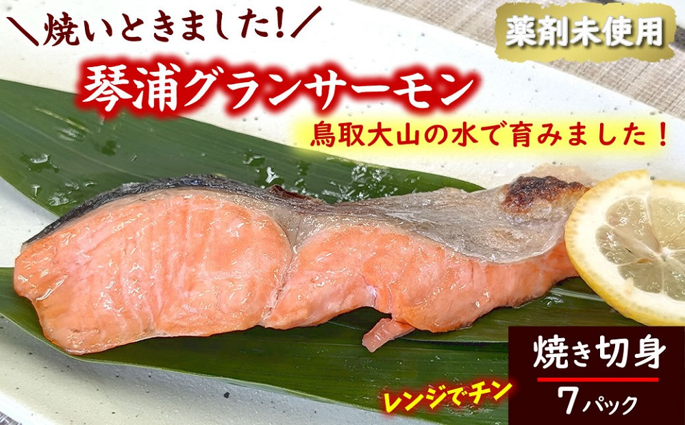国産とっとり琴浦グランサーモン焼いときました 焼魚７切 塩焼き 不揃いのため訳あり 個包装 レンチン